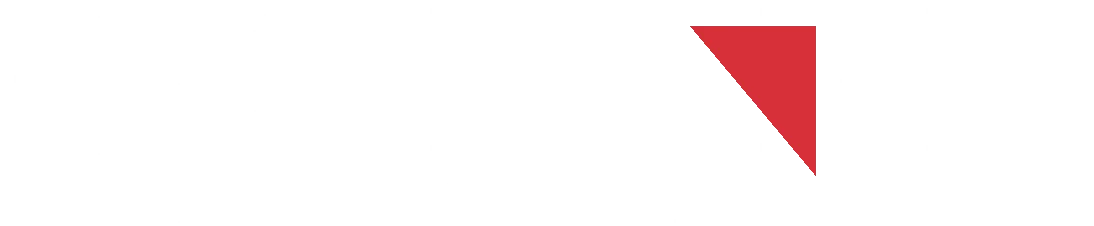 DN Audio — The Soul of Audio, Professional Amplifier